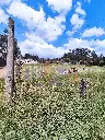 IMG_20250516_185848.webp