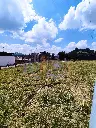 IMG_20250516_185846.webp