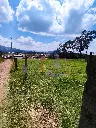 IMG_20250516_185847.webp