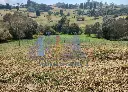 IMG_20250519_134950.webp
