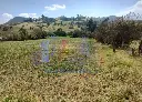 IMG_20250519_134951 (2).webp
