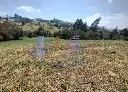 IMG_20250519_134950 (1).webp