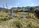 IMG_20250519_134948 (1).webp