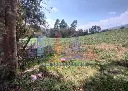 IMG_20250519_134949.webp