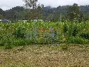 IMG_20250606_114204 (1).webp
