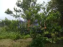 IMG_20250606_114205.webp