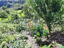IMG_20250609_154028.webp