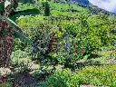IMG_20250609_154029.webp