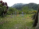 IMG_20250609_154030 (1).webp