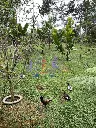 IMG_20250611_160312 (1).webp