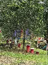 IMG_20250611_160310.webp