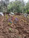 IMG_20250611_160309 (2).webp