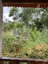 IMG_20250611_160312.webp