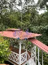 IMG_20250611_160313.webp