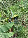 IMG_20250611_160309.webp