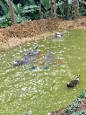 IMG_20250611_160311.webp