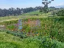 IMG_20250516_184220 (1).webp