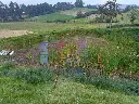 IMG_20250516_184220.webp