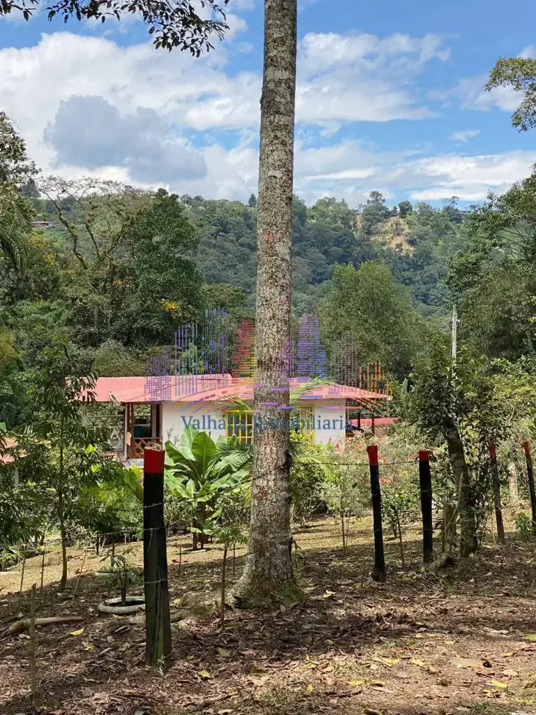 SE VENDE FINCA EN FUSAGASUGÁ,CUNDINAMARCA